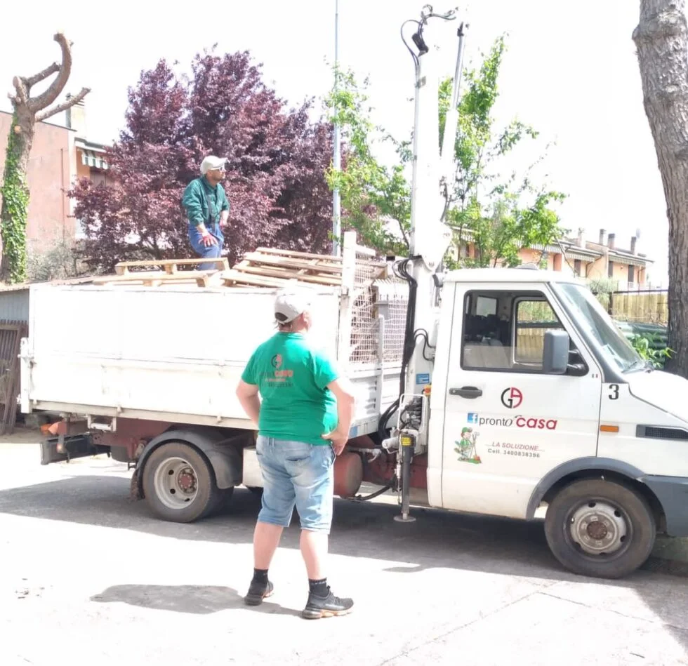 La Cura del Giardino in Autunno: Consigli di Alessandro, Il Tuo Giardiniere in Provincia di Vicenza