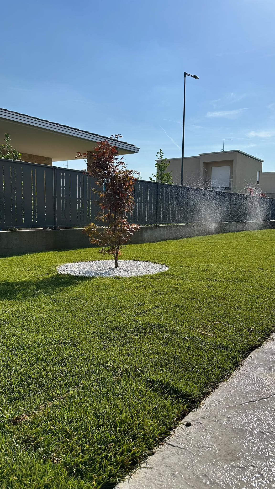 Irrigatori in funzione sul prato accanto a un albero ornamentale